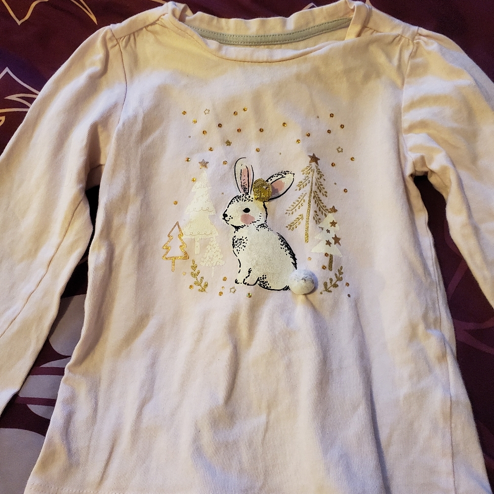 A winter scene top